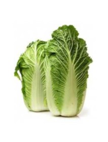 Kapusta pekińska - 1 sztuka