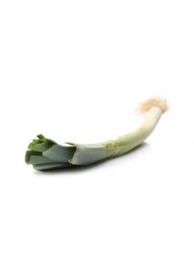 Por import - 1 sztuka